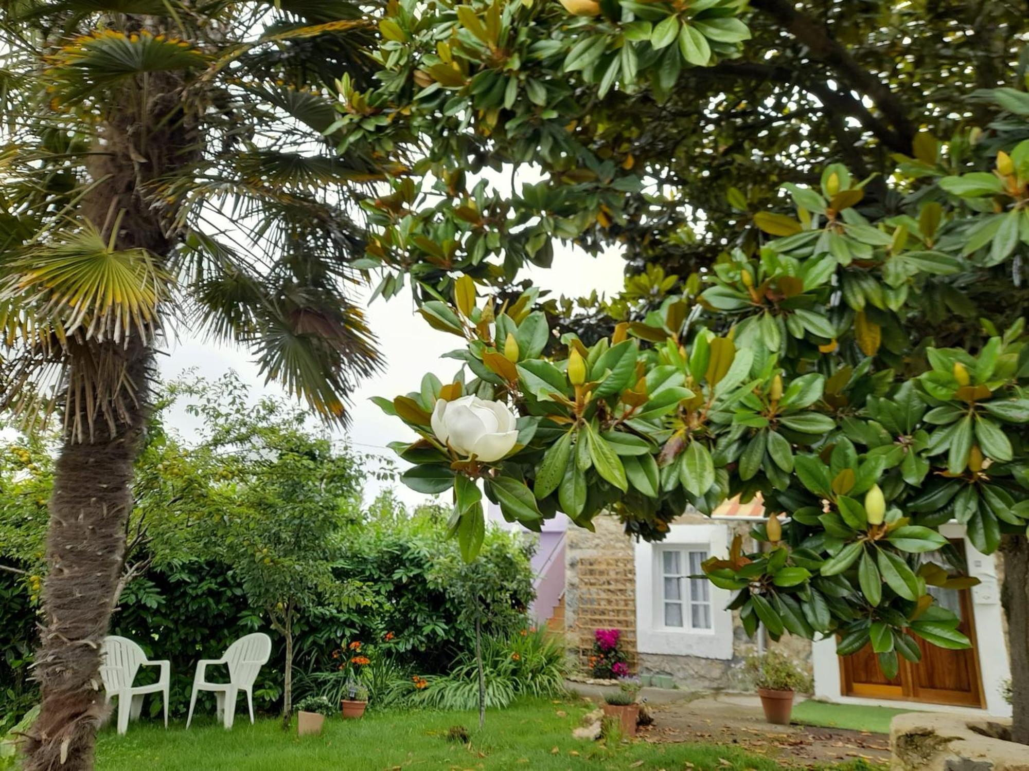 Casamarietacantabria Reocin Luaran gambar